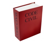 Intelligence du Code civil