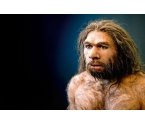 Chronologie des hommes préhistoriques - Néandertal, Homo Sapiens...