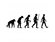 Considérations du pape François sur la Création du Monde et l'Evolution
