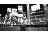 Tokyo zinzin - voyage dans le Tokyo surréaliste