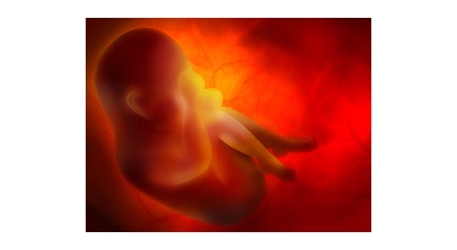 Avortement, la position de l'Eglise peut-elle changer ?