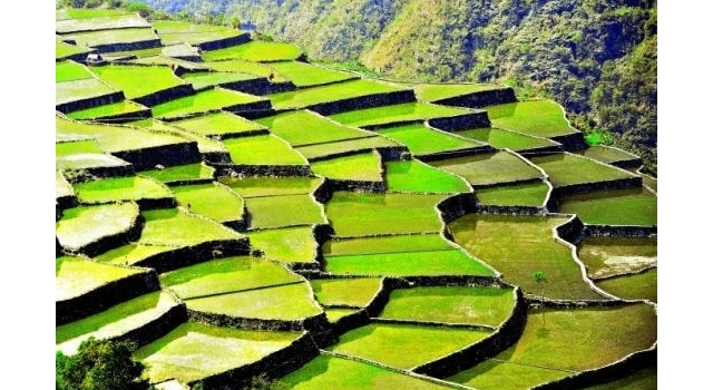 Land grabbing - L'agriculture française est-elle menacée? La question de l'accaparement des terres