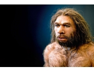 Chronologie des hommes préhistoriques - Néandertal, Homo Sapiens...