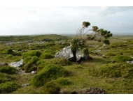 L'Irlande au fil de l'eau