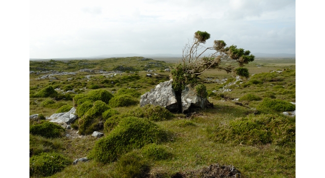 L'Irlande au fil de l'eau